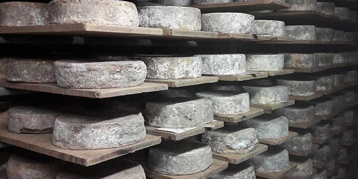 tomme-sda